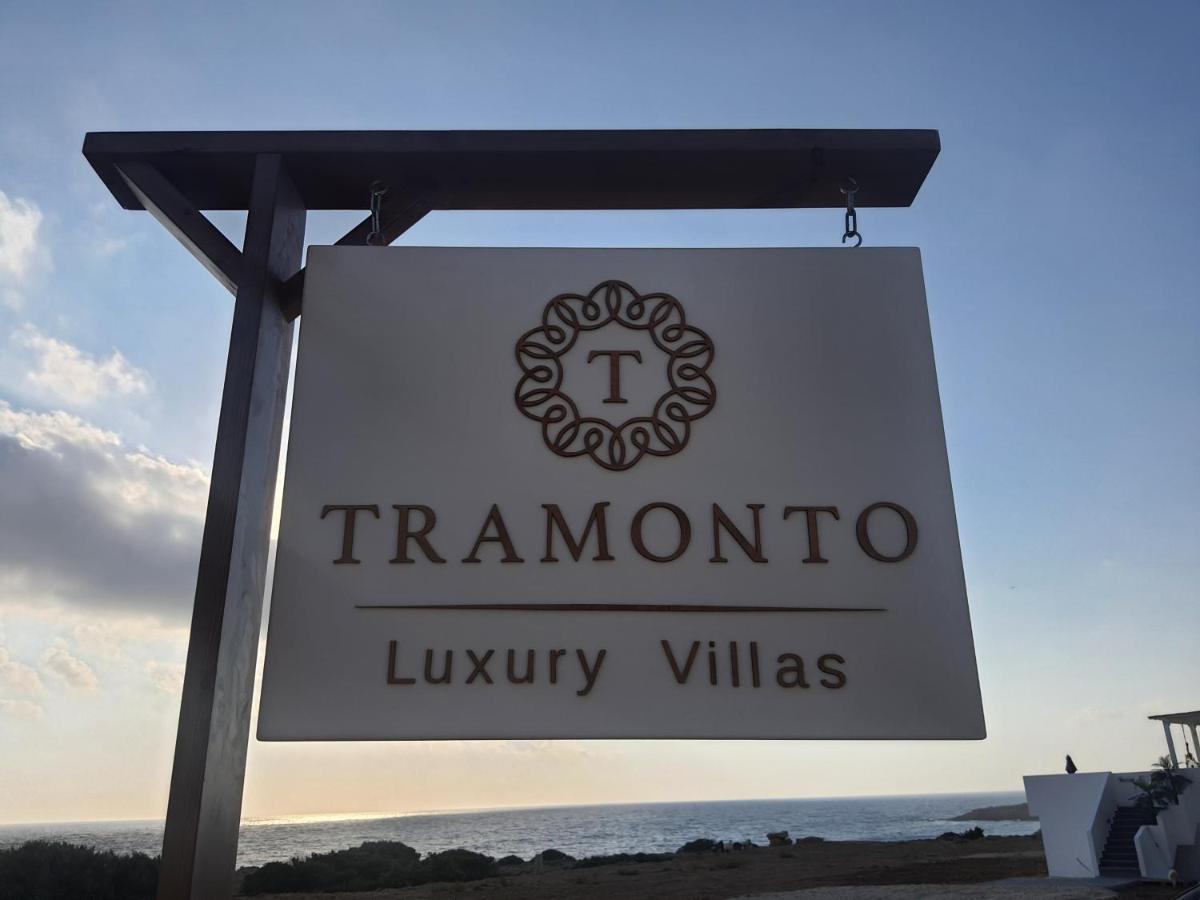 Tramonto Luxury Villa No2 - Breathtaking Sunset View 弗伊尼基昂 外观 照片